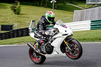 cadwell-no-limits-trackday;cadwell-park;cadwell-park-photographs;cadwell-trackday-photographs;enduro-digital-images;event-digital-images;eventdigitalimages;no-limits-trackdays;peter-wileman-photography;racing-digital-images;trackday-digital-images;trackday-photos